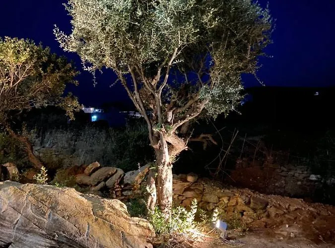 Spanos - Andros * Áyios Pétros