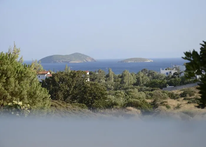 Spanos - Andros Áyios Pétros