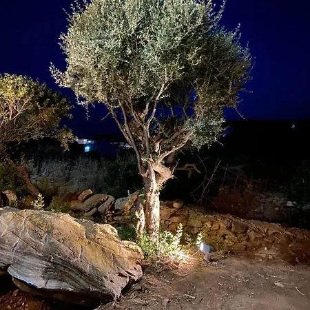 Spanos - Andros * Айос-Петрос